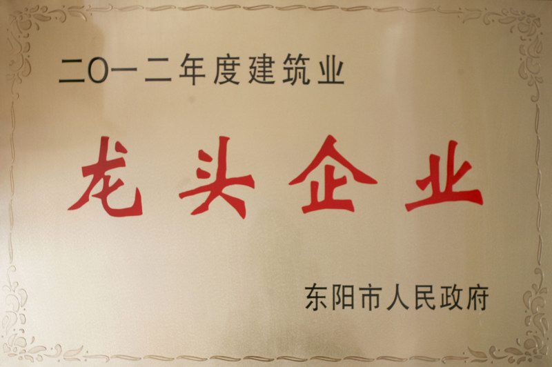 浙江新東陽建設集團有限公司